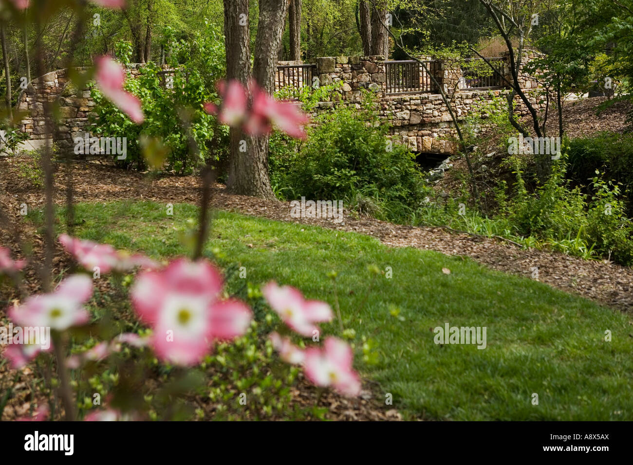 The Bog Garden Greensboro North Carolina Stock Photo 12188305 Alamy