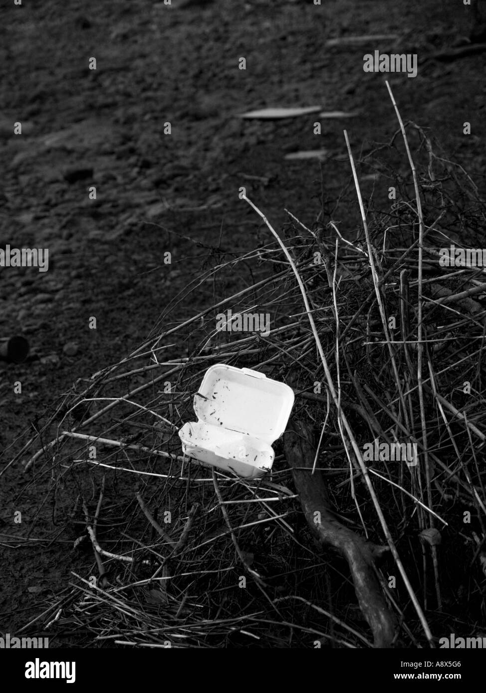 Waste rubbish and debris washed up on the banks of the Lower Bann river