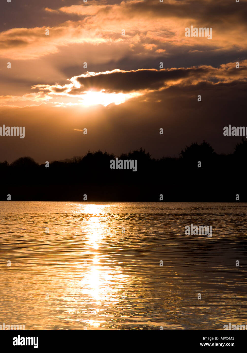 Midas golden touch hi-res stock photography and images - Alamy