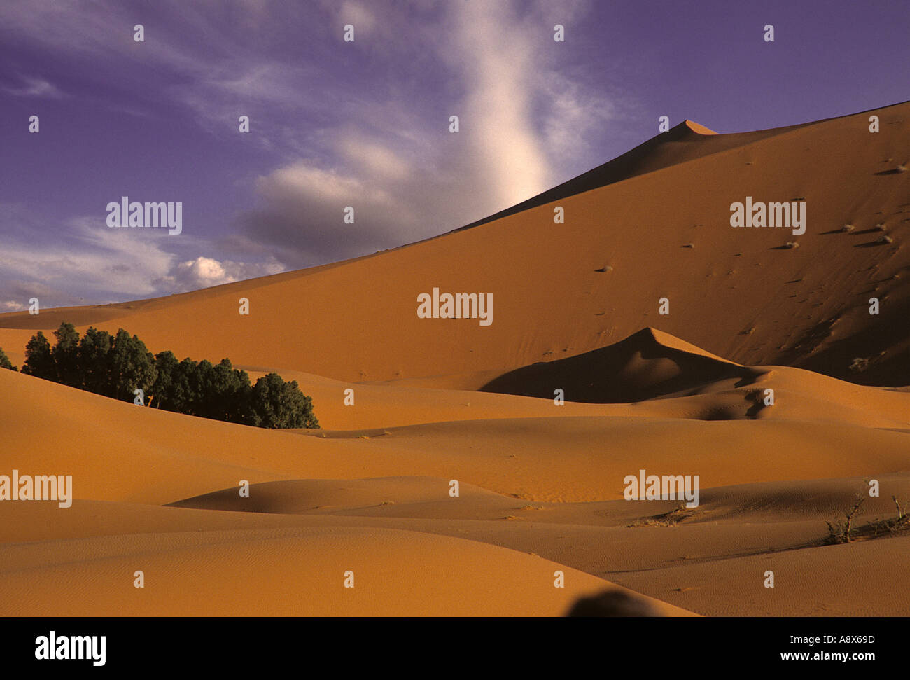 South Morocco dunes of Sahara Stock Photo - Alamy
