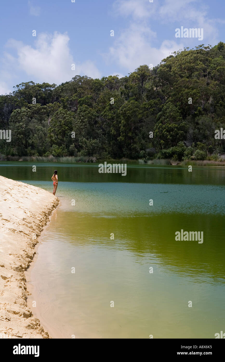 Lake Wabby in Fraser Island QSL Australia Stock Photo Alamy