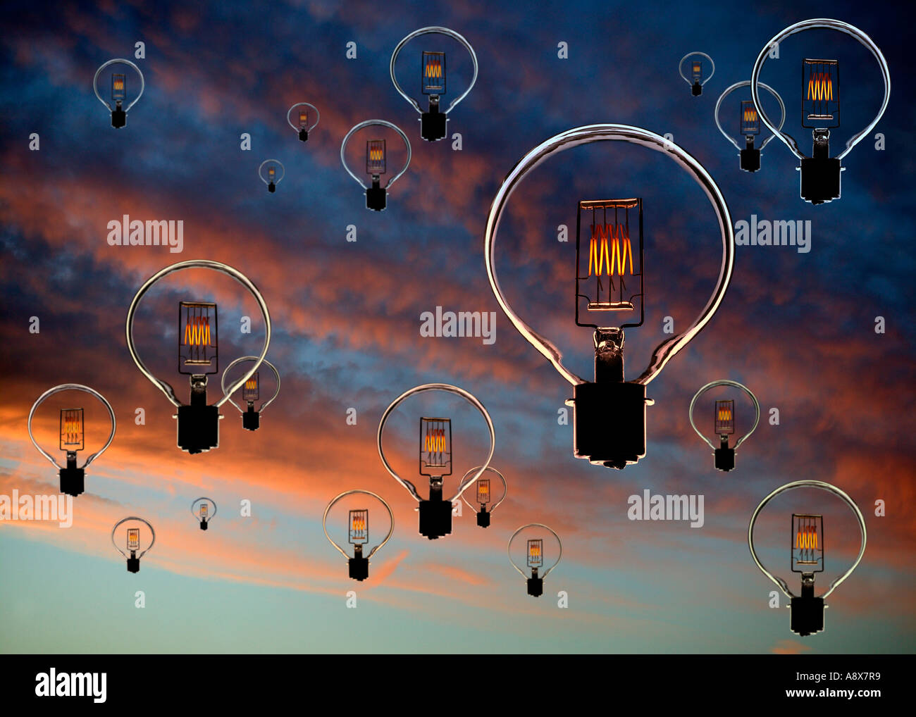 GLASS ELECTRIC LIGHT BULBS WITH GLOWING FILAMENTS FLOATING IN TWILIGHT