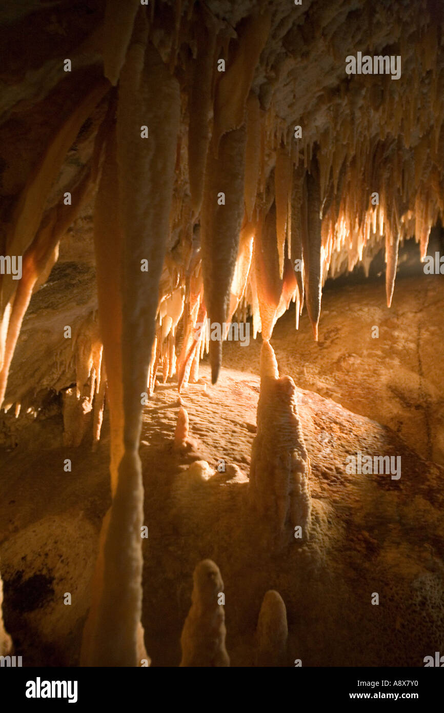 Stalactite and Stalagmite Jenolan Caves, Blue Mountains National Park ...
