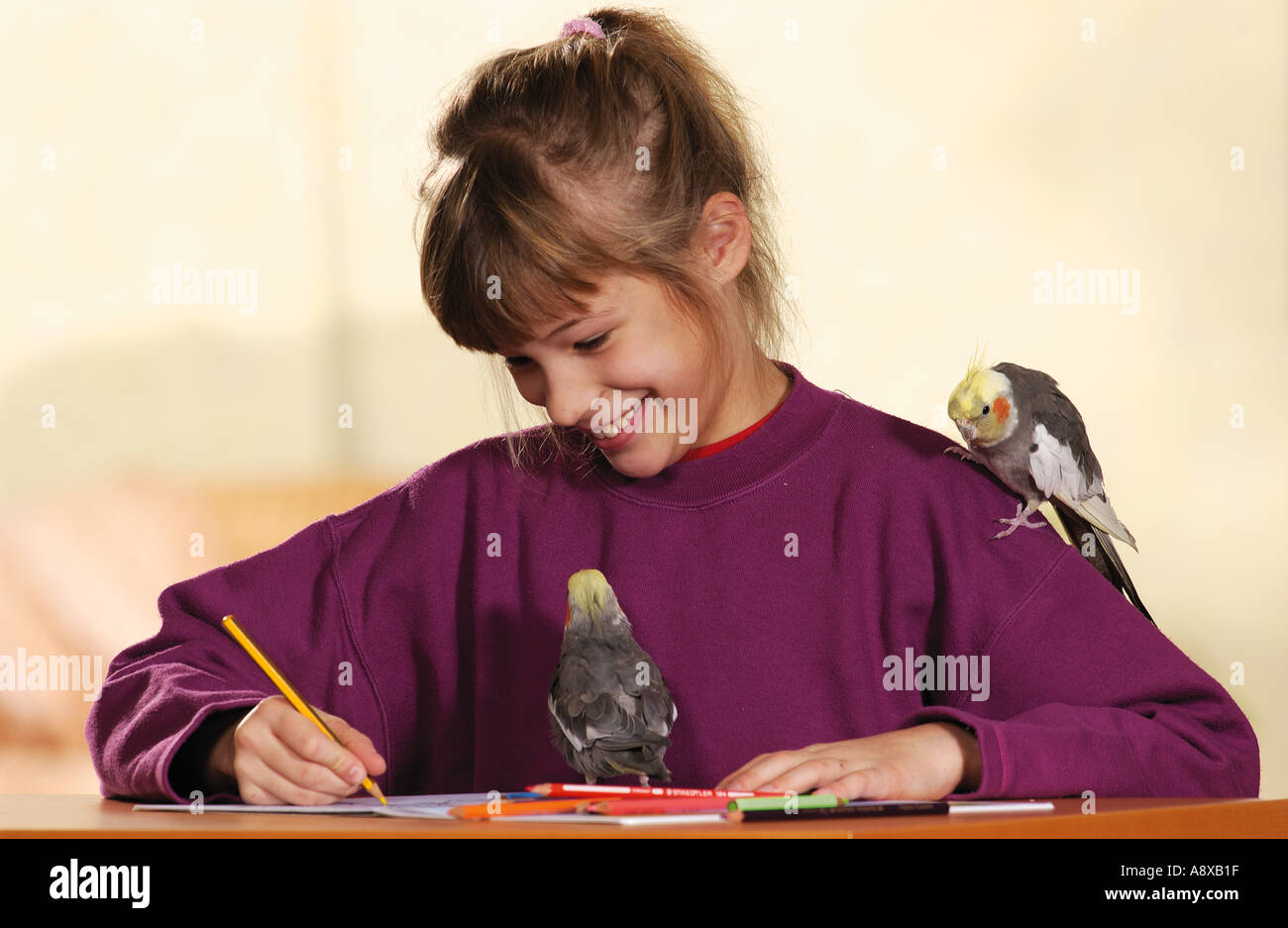 Drawing girl with to Cockatiels (Nymphicus hollandicus) Stock Photo