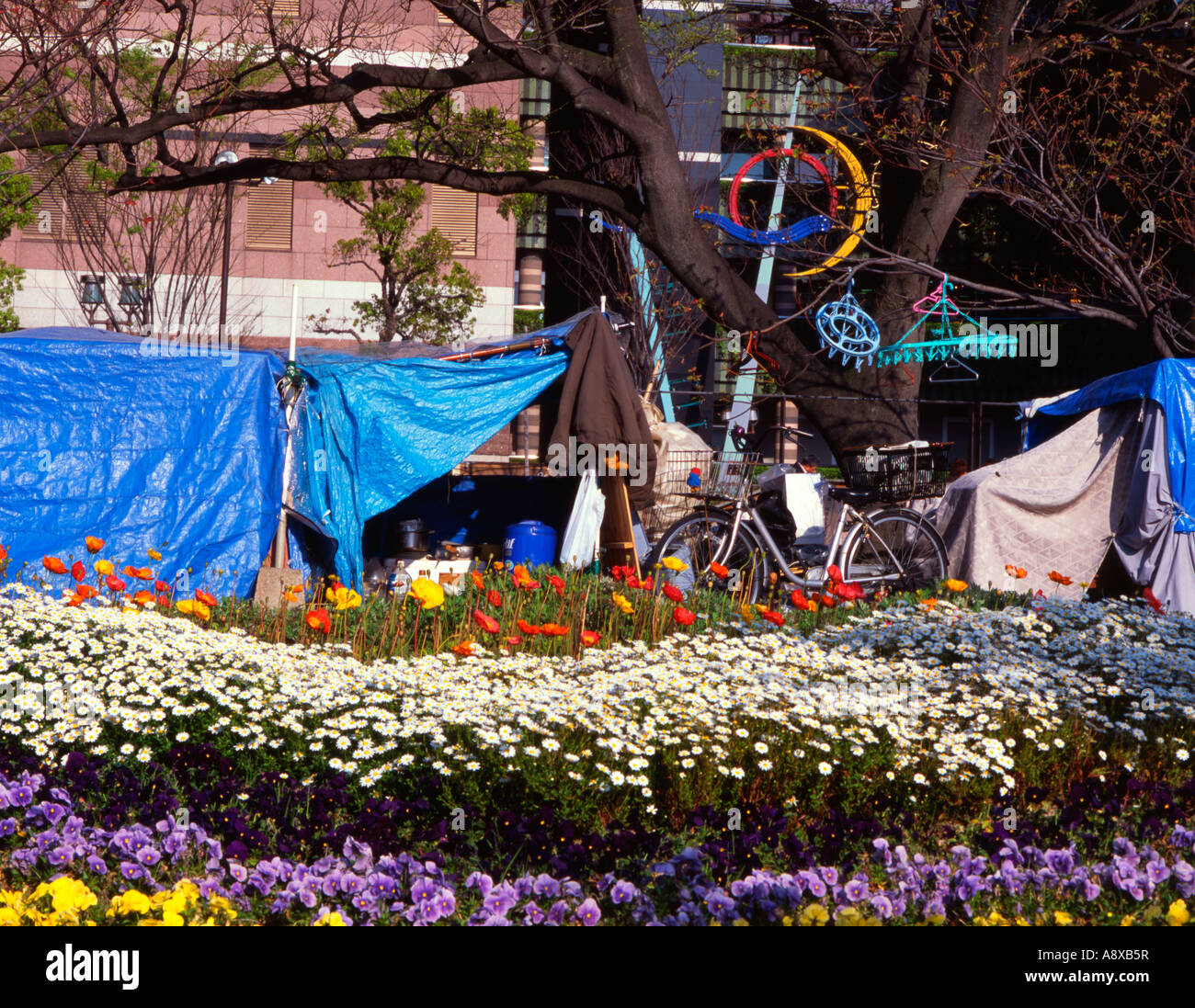 Homeless Japanese sleeping outside in Seiryu Park, Fukuoka, Japan Stock Photo