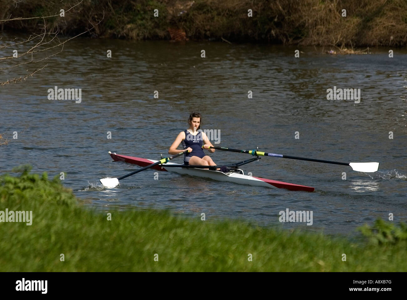 rower river avon evesham town centre worcestershire england midlands uk Stock Photo
