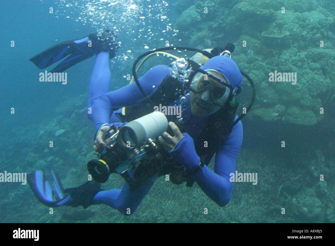 Underwater Photographer at the Agincourt Reef off the coast of Cairns
