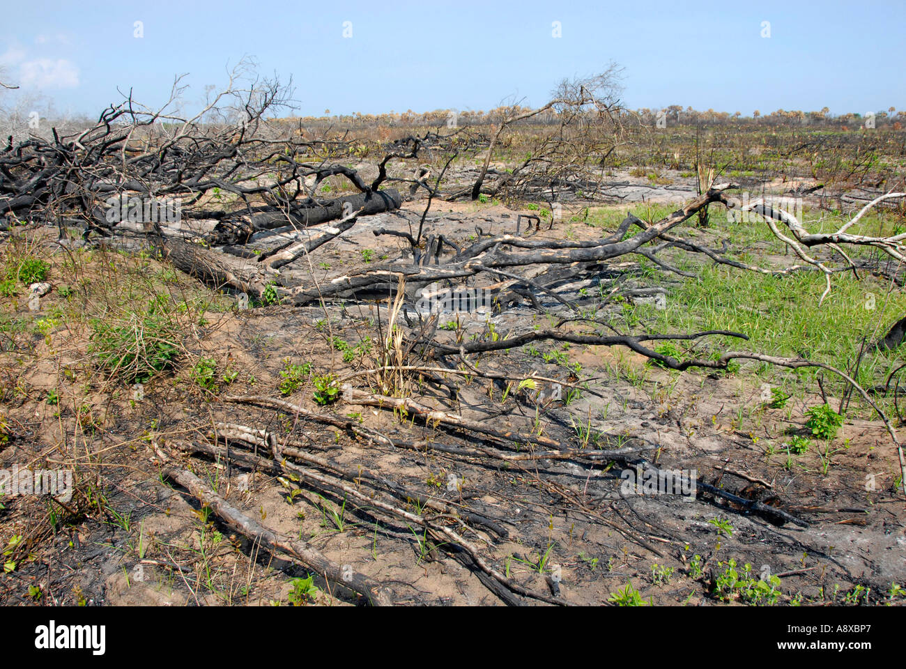 National Park Service Cape Canaveral National Sea Shore Stock Photo Alamy