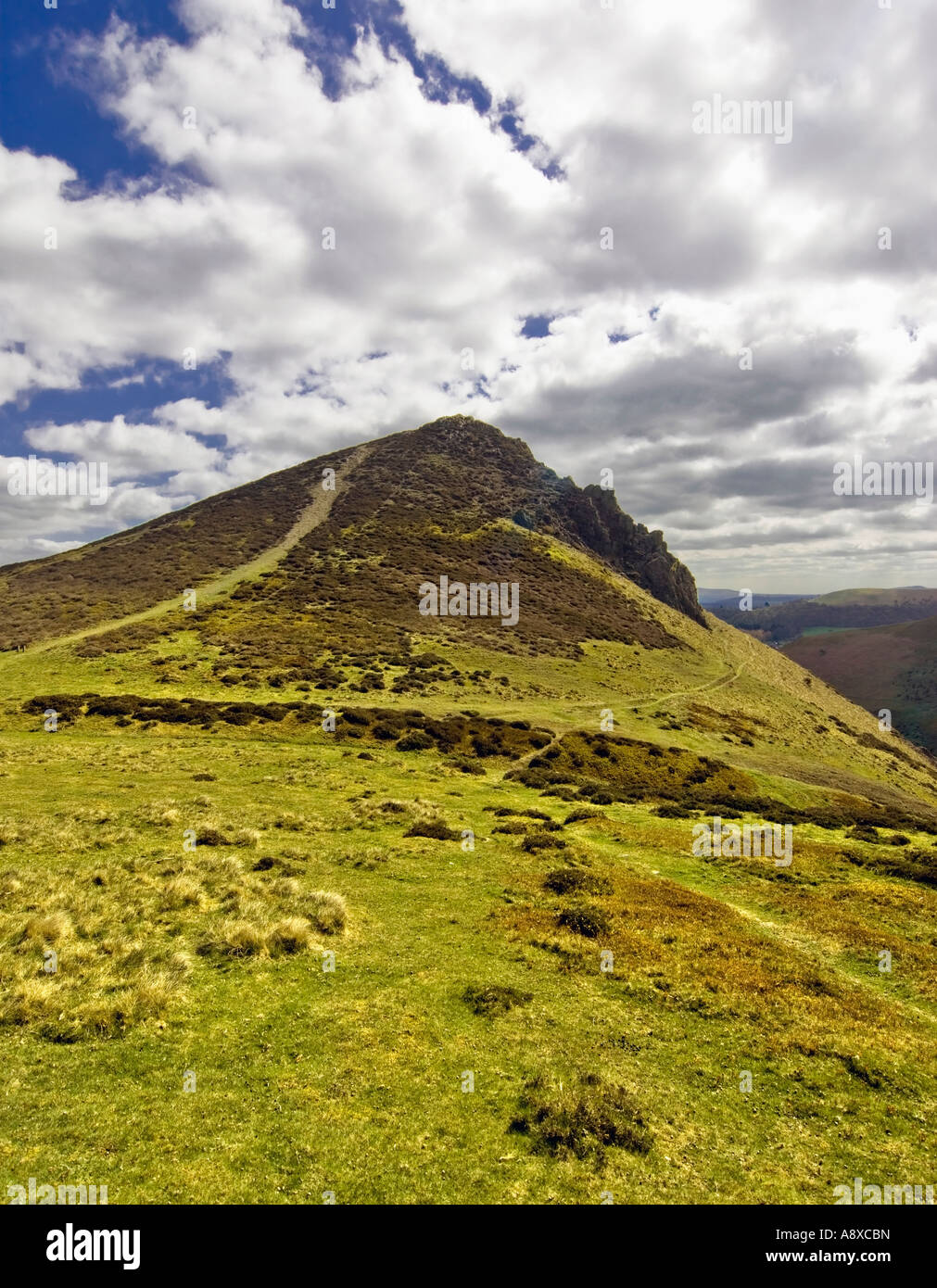 long mynd shropshire england uk Stock Photo Alamy