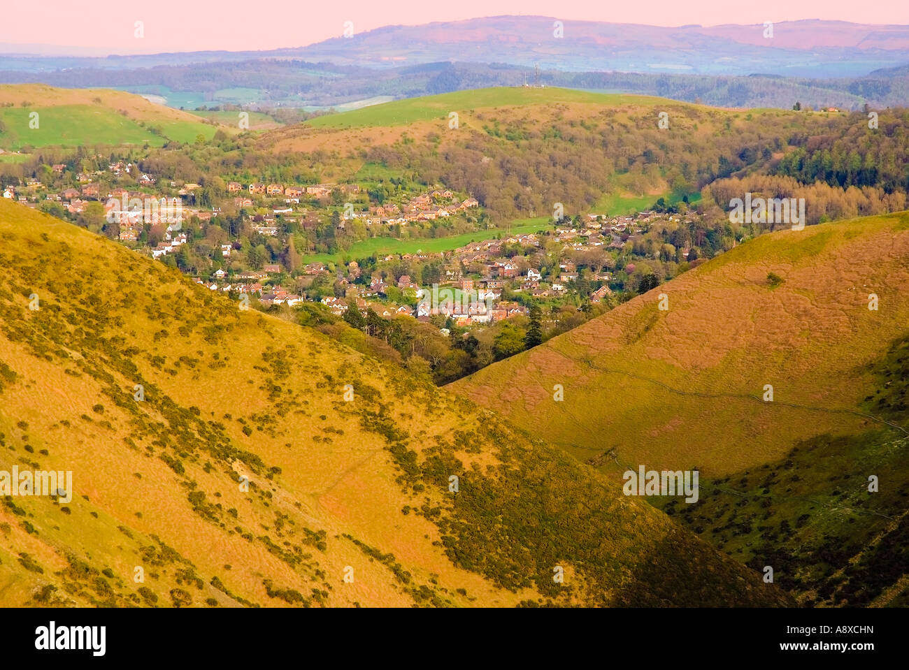 long mynd shropshire england uk Stock Photo Alamy