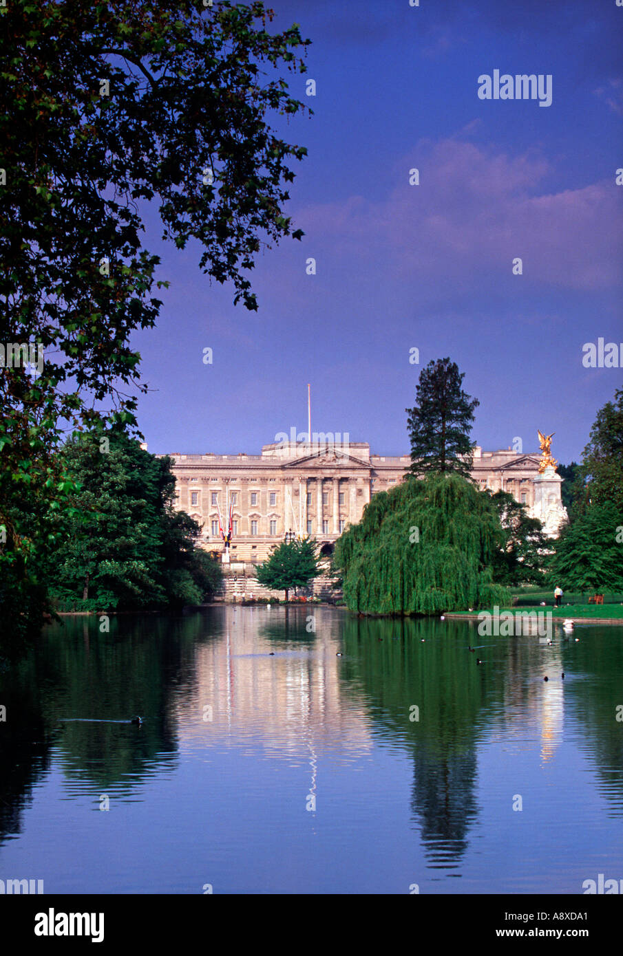 Buckingham Palace & St. James Park, London, England Stock Photo Alamy