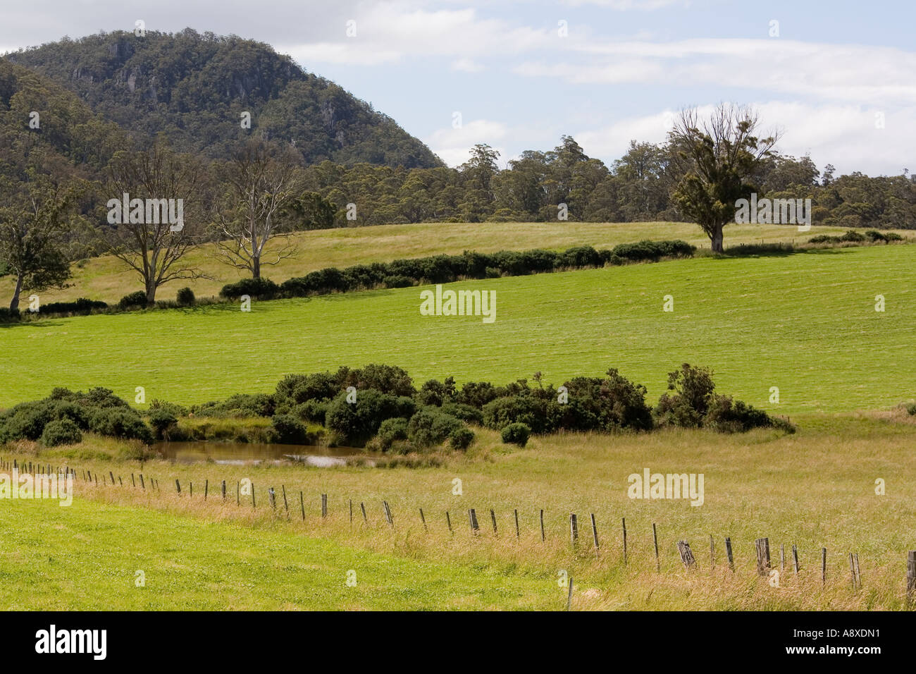 Australian farm land hi-res stock photography and images - Alamy