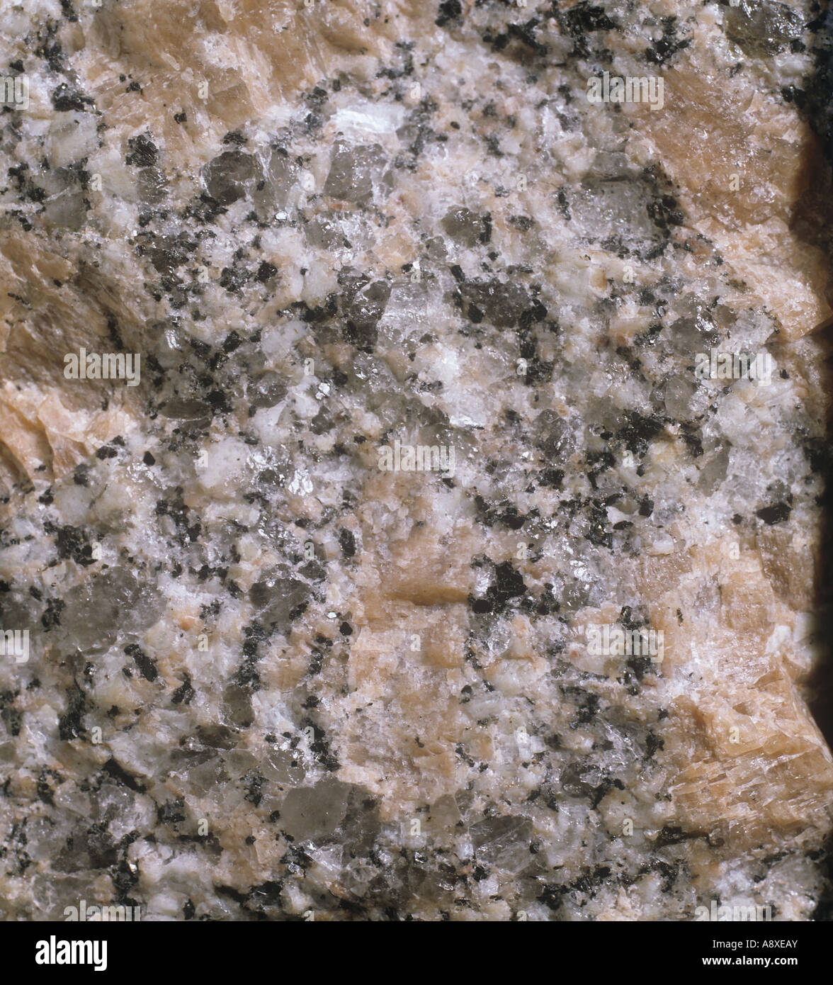 Observing structure of rock Stock Photo