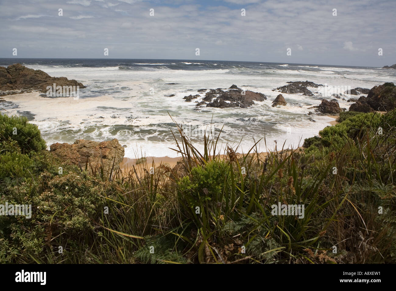 Trial Harbour in Tasmania Stock Photo Alamy