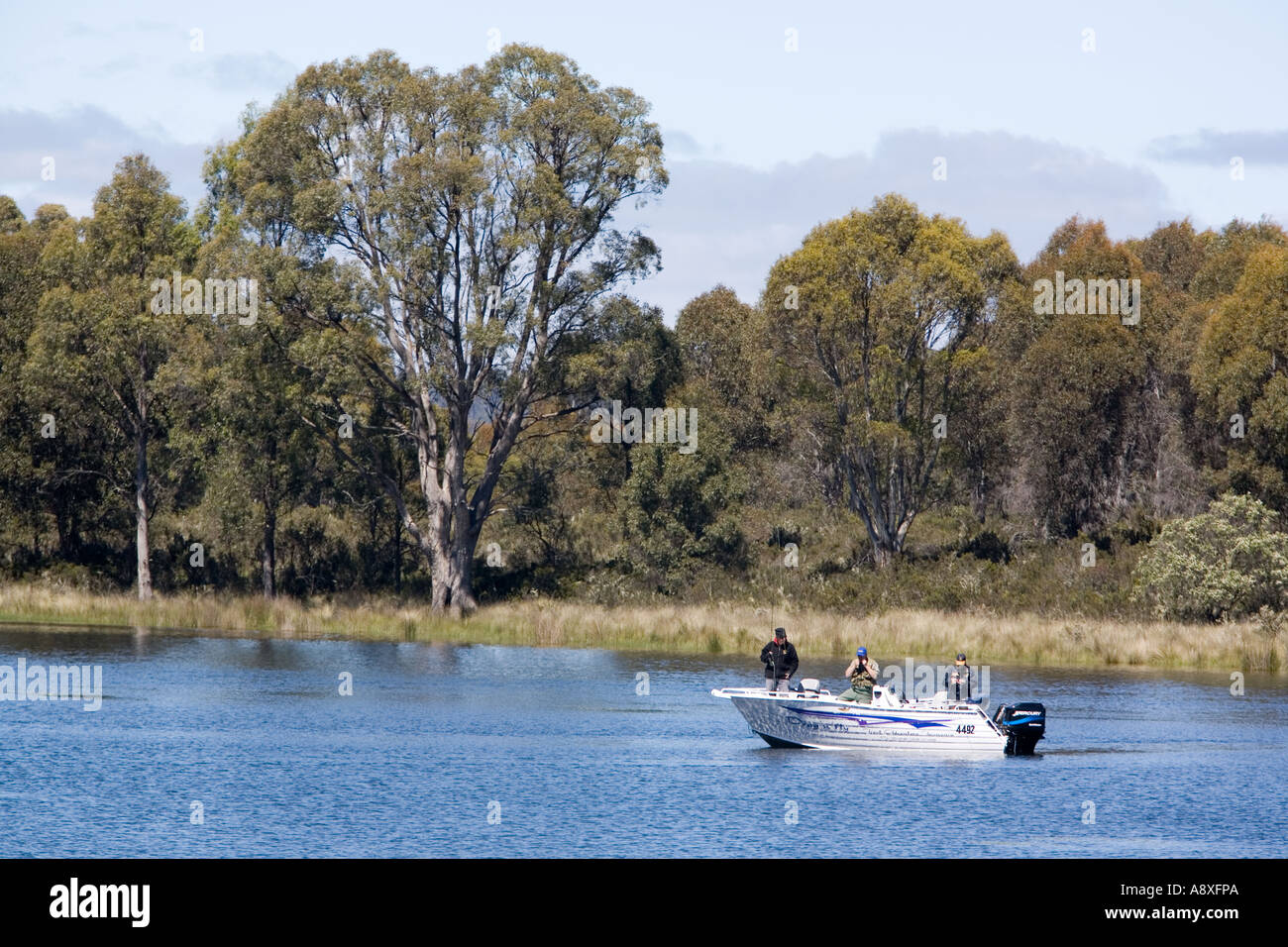 Boat fishing in Tasmania Stock Photo Alamy