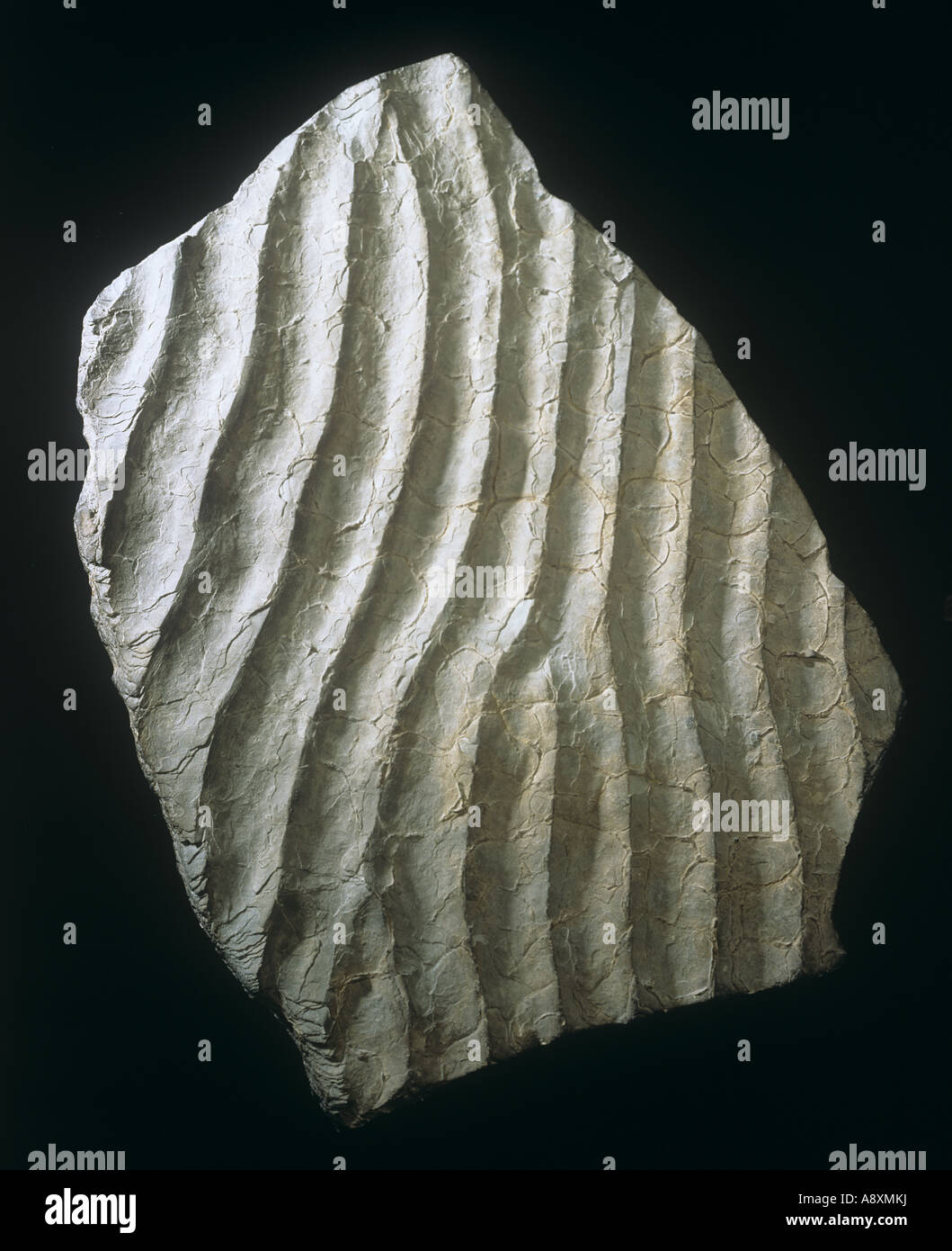 Ripple marked sandstone Stock Photo