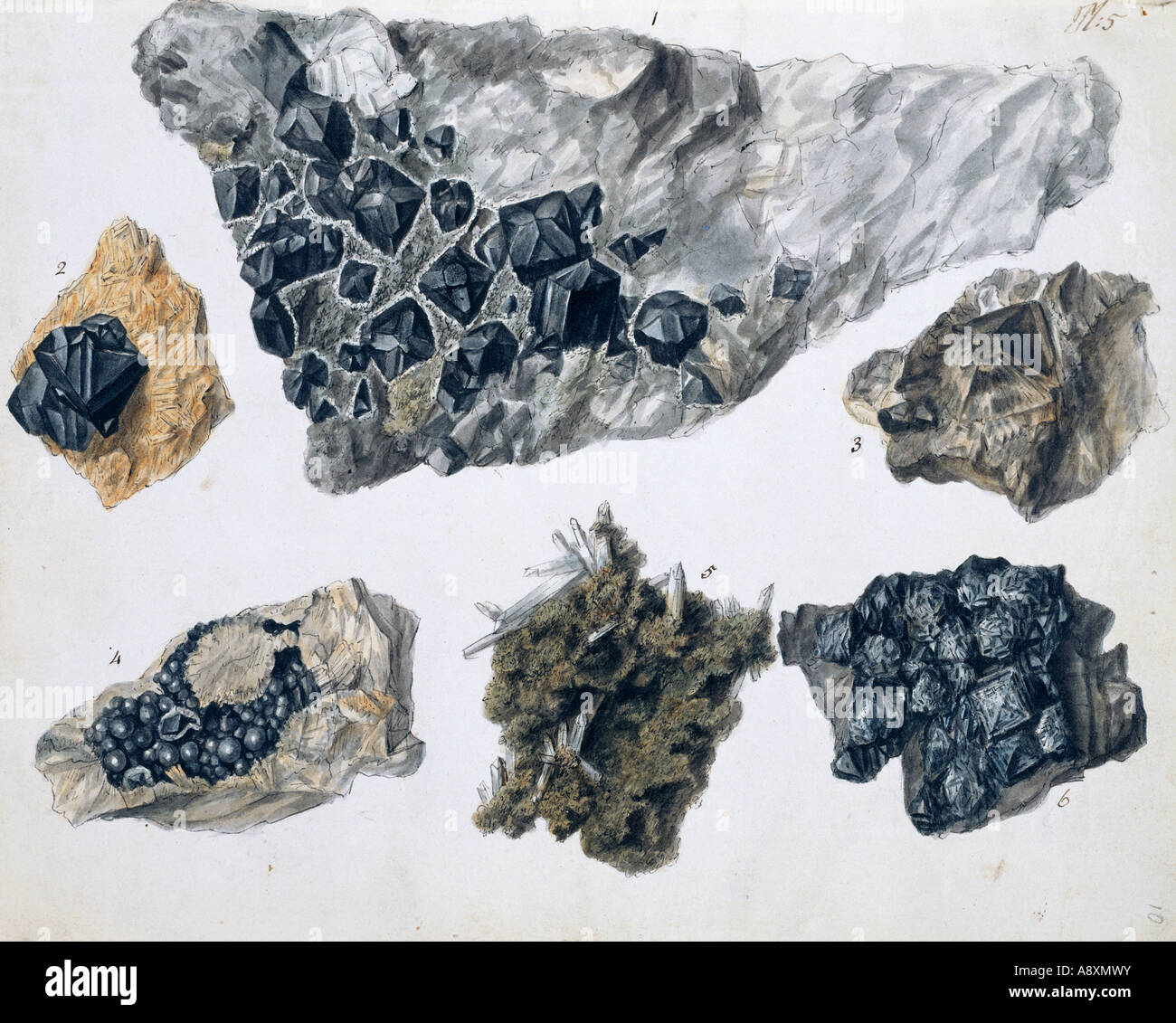 Plate 5 from Specimens of British Minerals vol 1 by P Rashleigh 1797 Stock Photo