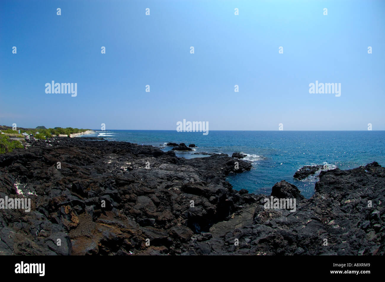 Pinetrees Kohanaiki before the O oma project Kona coast The Big Island of Hawaii Stock Photo