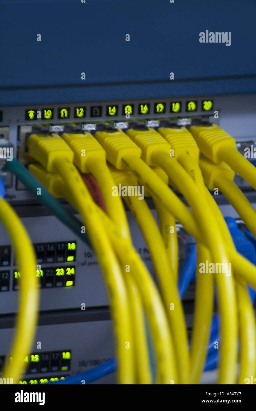 Computer network cables plugged in a hub Stock Photo Alamy