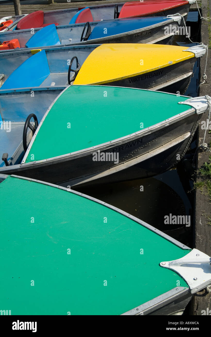 Indigenous Boats: Cork Boat