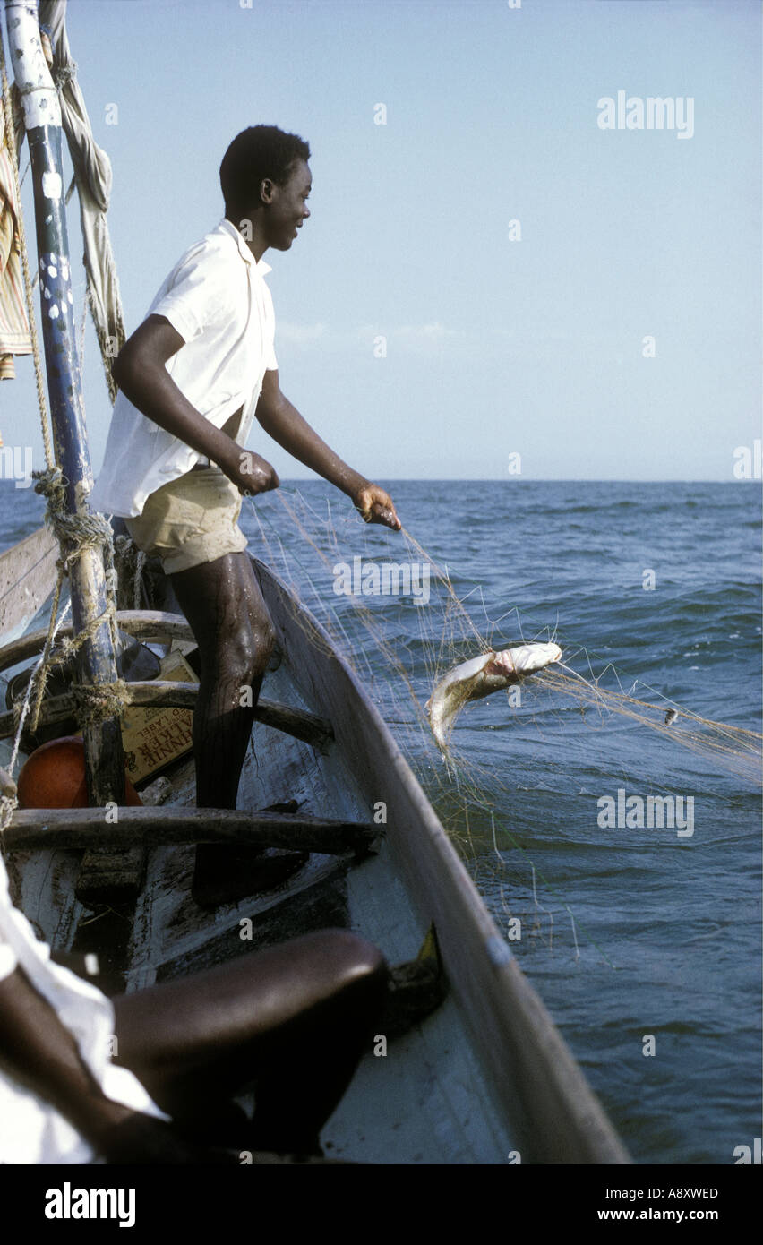 Luo fisherman in sailing canoe lifting gill net with a catfish Lake Victoria East Africa Stock Photo