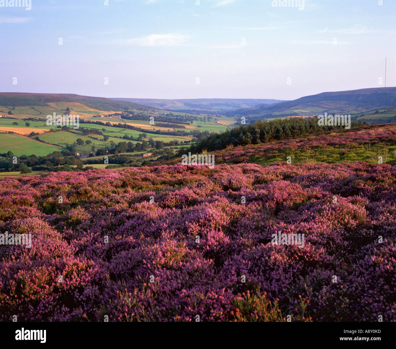 Parque nacional yorkshire moors hi-res stock photography and images - Alamy