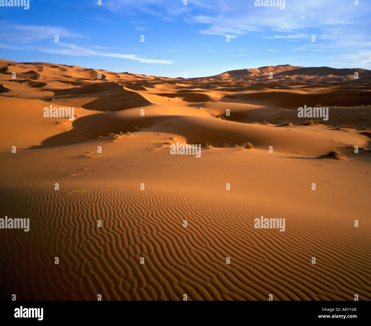Sand dunes of the Sahara Desert, Erg Chebbi, Morocco Stock Photo - Alamy