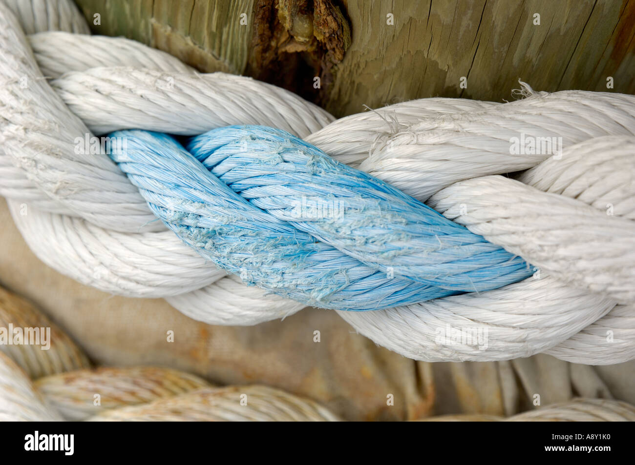 Detail of rope, Gjesvaer, near Nordkapp and Honningsvag, Mageroya Mahkaravju island, Norway Stock Photo