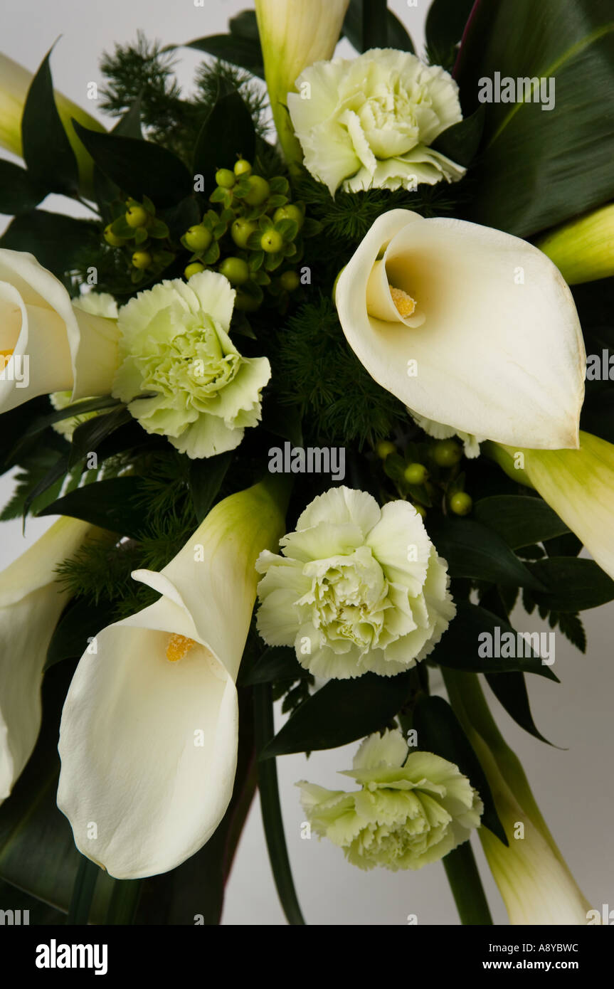 white lilly bridal