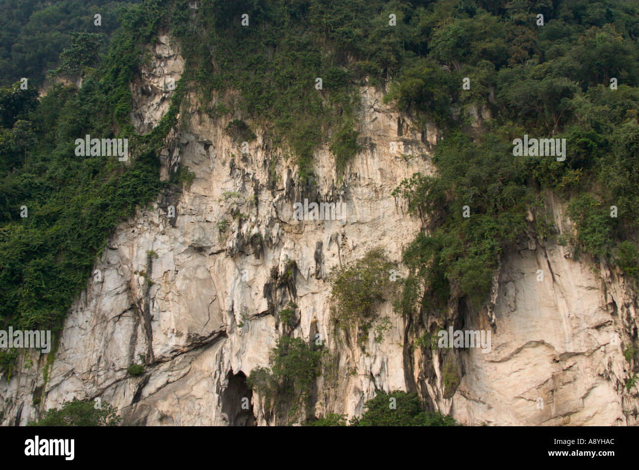 rock face of limestone hill in Malaysia Stock Photo - Alamy