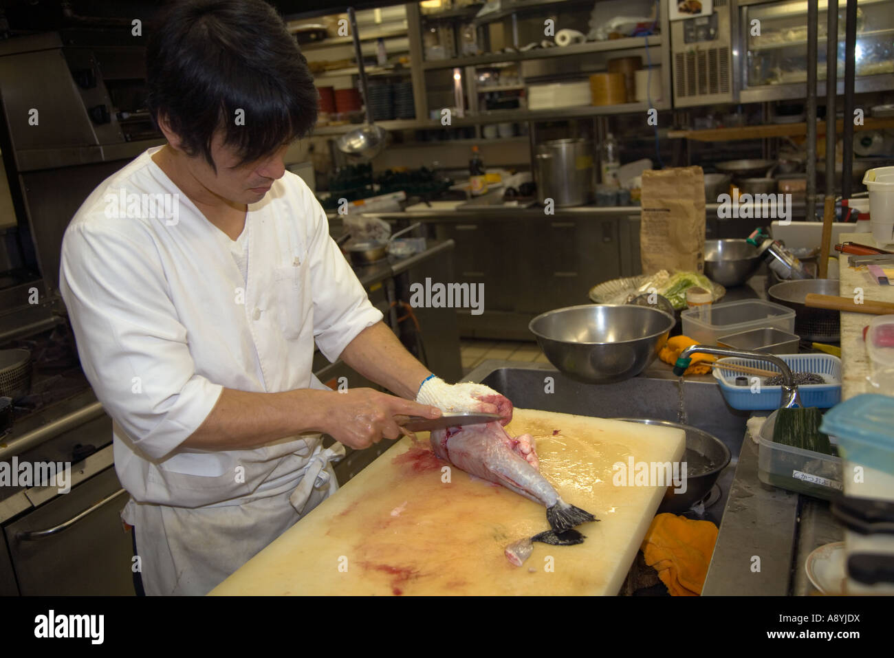 Preparing a Fugu blowfish for sashimi in a Japanese restaurant Stock