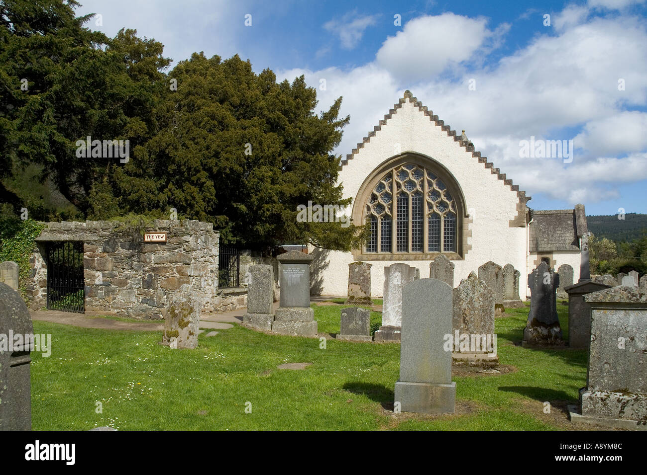 dh Scottish Yew Tree churchyard FORTINGALL PERTHSHIRE 5000 year old