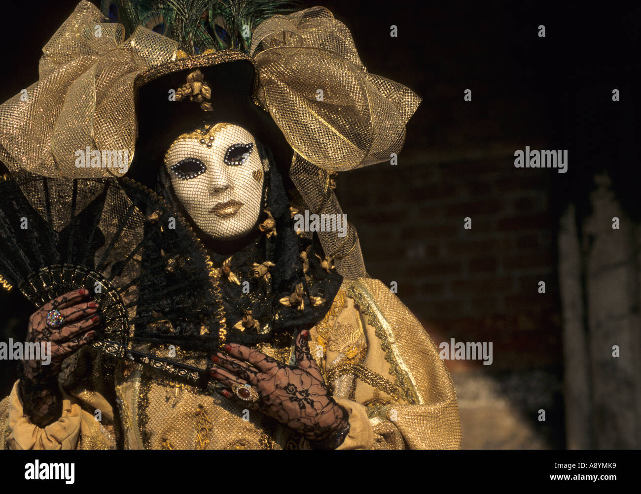 Woman in carnival costume mask hi-res stock photography and images - Alamy