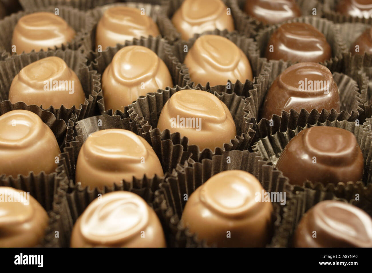Chocolates Stock Photo