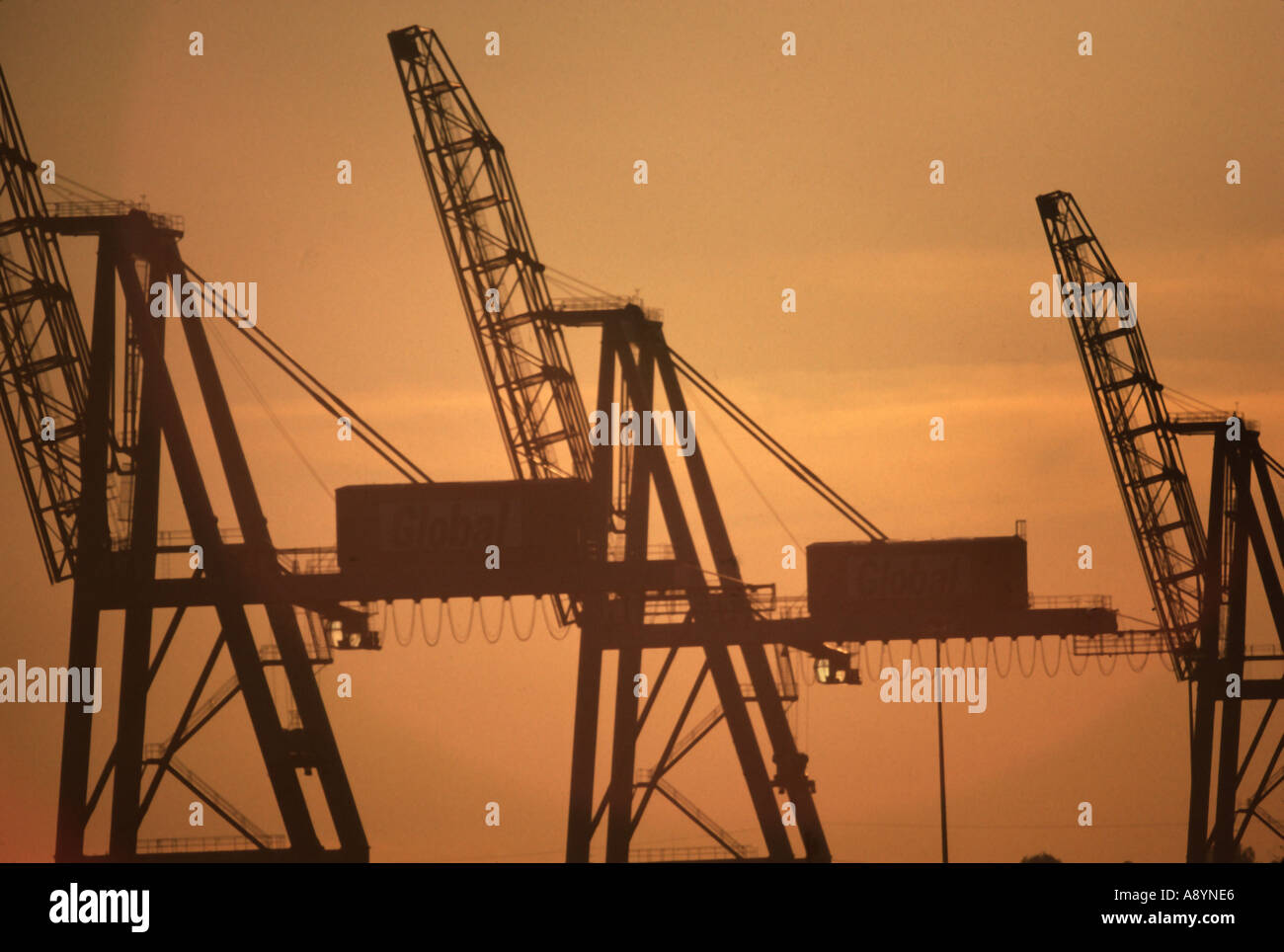 The Port of New York and New Jersey Port Jersey Port Elizabeth Port