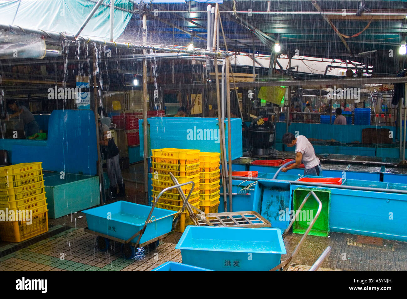 Aberdeen fish market hires stock photography and images Alamy