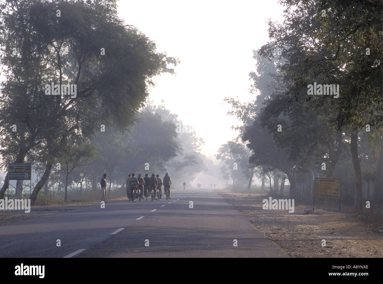 Cyclists on their way to work in early morning mist on road from Bharatpur to Agra Uttar Pradesh India Stock Photo