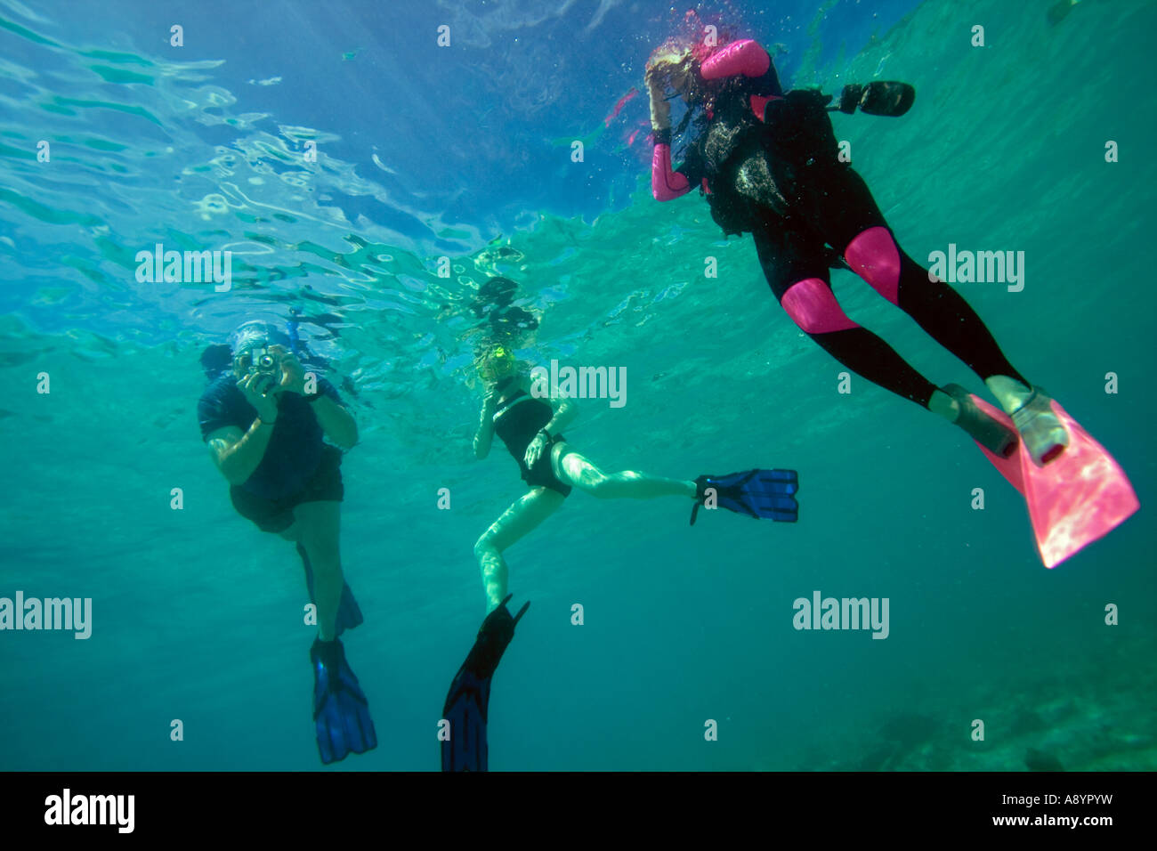 Snorkler and diver Stock Photo - Alamy