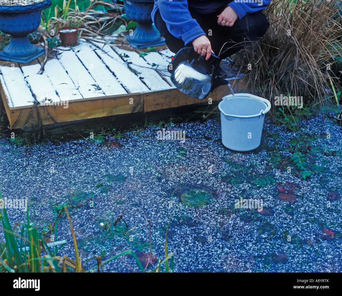 ICED OVER PONDS MELT ICE WITH HOT WATER IN A BUCKET Stock Photo Alamy