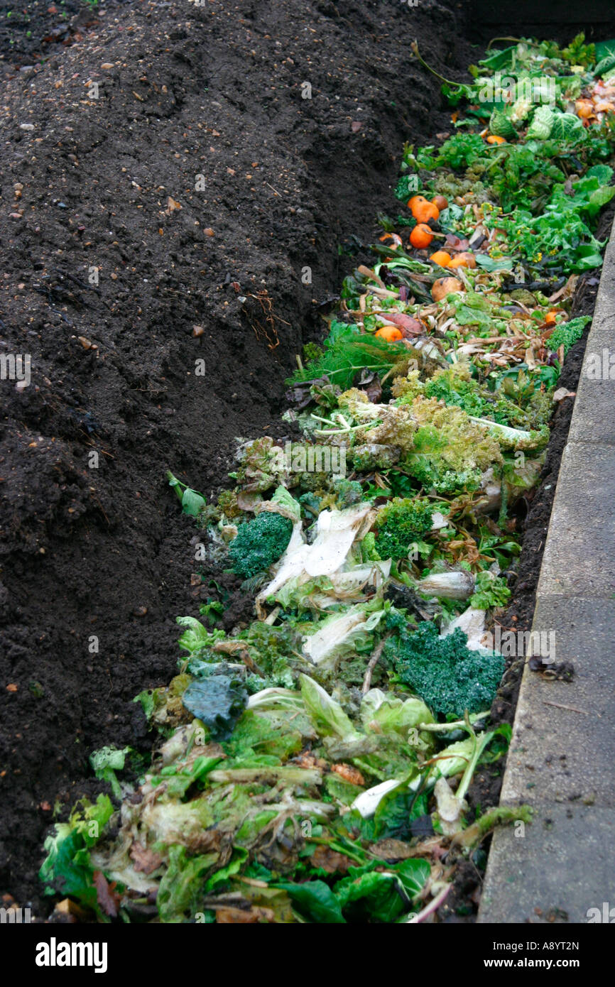 TRENCH COMPOSTING USING KITCHEN WASTE Stock Photo Alamy