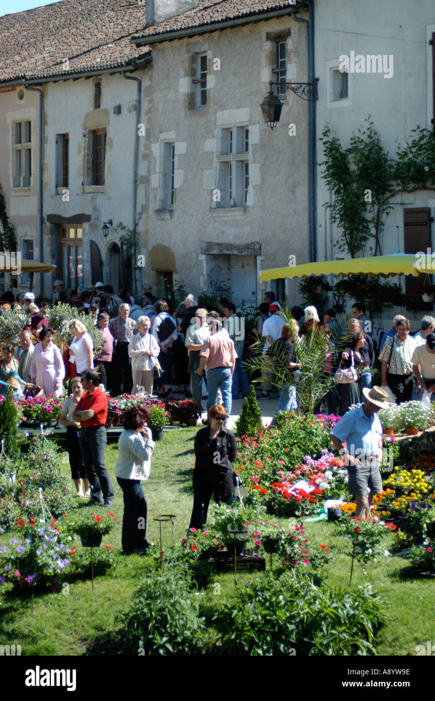 french flower and plant show and horticultural display in st jean de