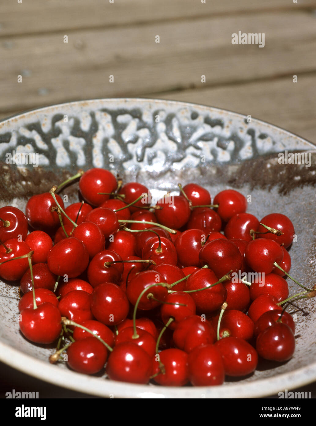 Prumus hi-res stock photography and images - Alamy