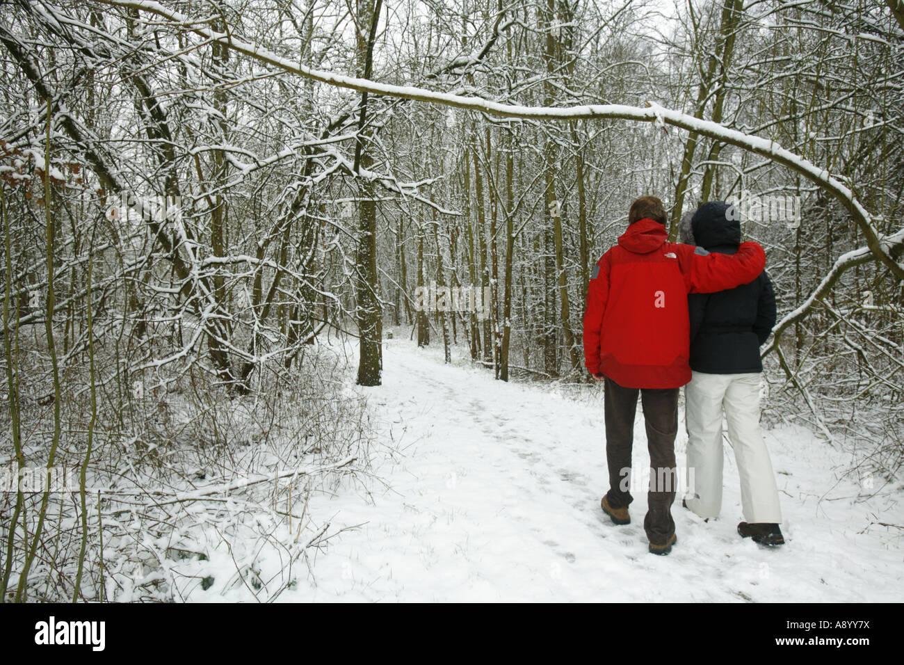 Couple in love walking through snow covered forest path Stock Photo - Alamy