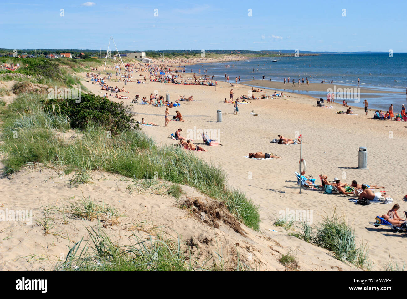 summer beach Stock Photo