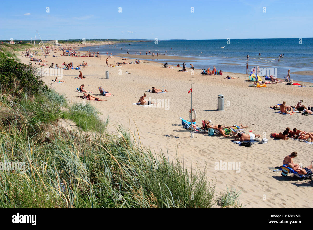 summer beach Stock Photo