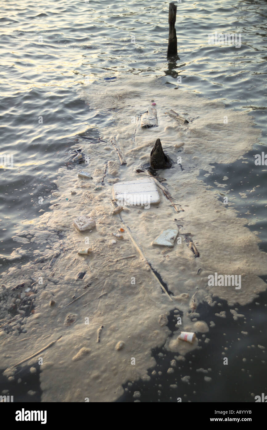 Dirty Rotten Water Dirty river hi-res stock photography and images - Alamy
