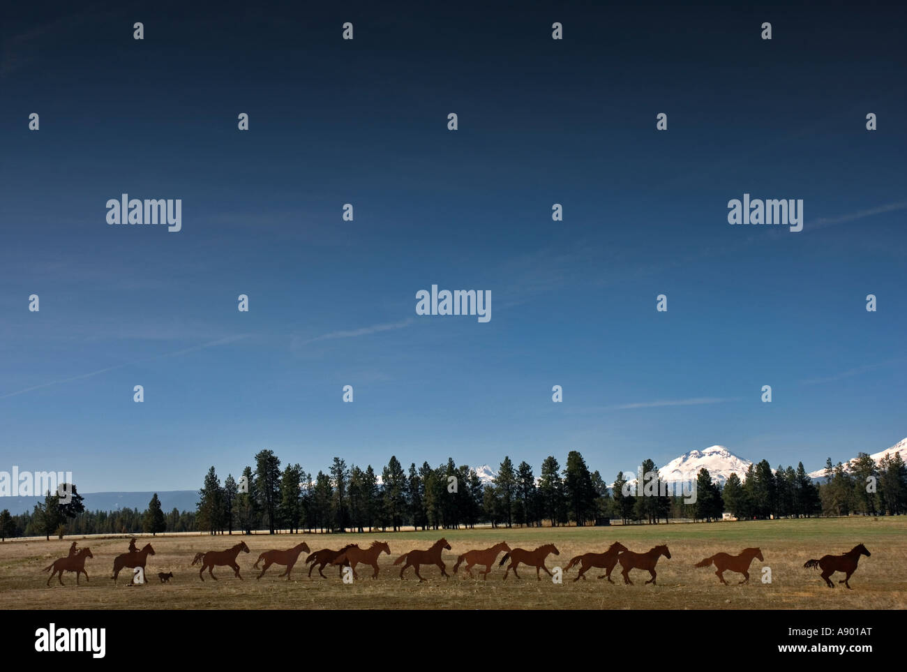 Wild Horse Sculpture, Bend, Oregon Stock Photo Alamy