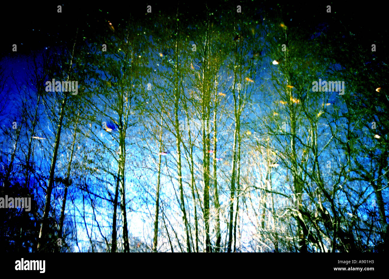 Abstract green random hue hi-res stock photography and images - Alamy