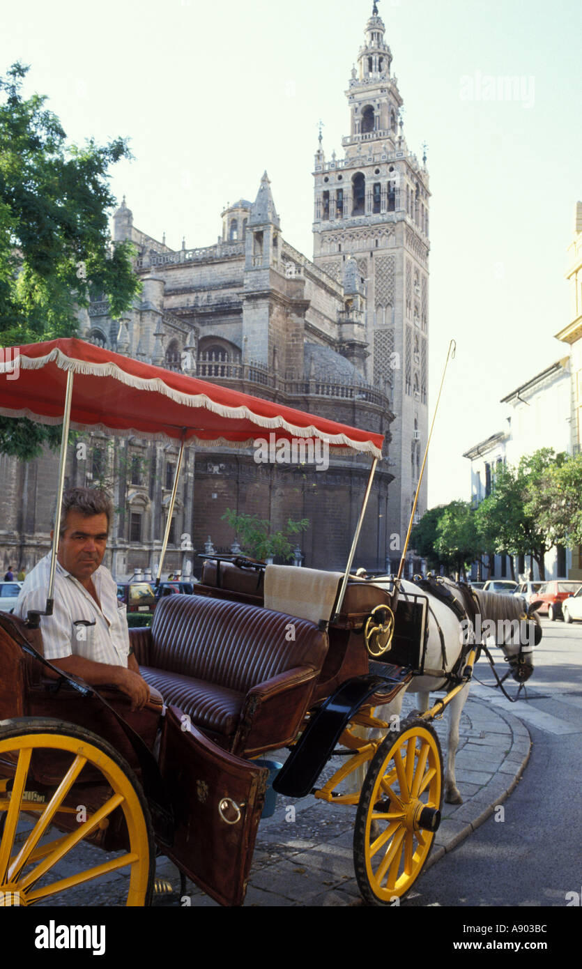 Horse and Cart Driver with Giralda tower behind Plaza Virgen de los