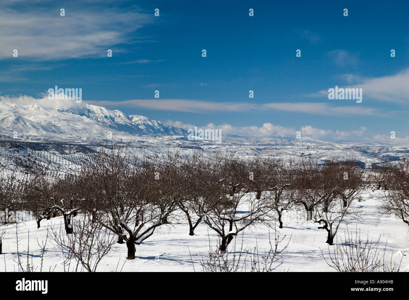 Parque Natural de las Sierras de Tejeda y Almijara. Andalusia. Spain